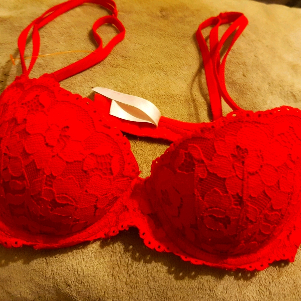 Pink by Victoria's Secret Red Push Up Bra 32B
